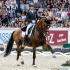 Suppenkasper Named AdequanÂ®/USDF Grand Prix Horse of the Year